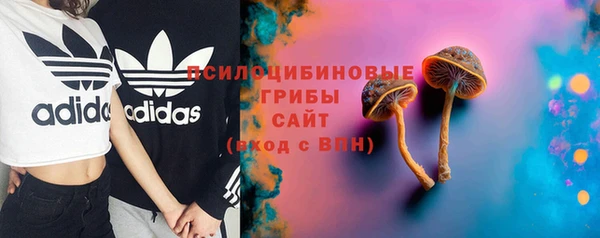 mdma Богданович