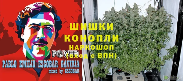 2c-b Беломорск