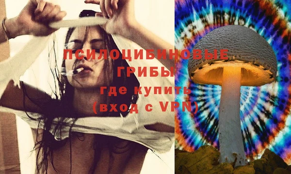 первитин Белокуриха